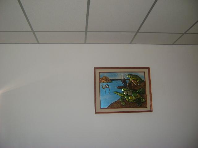 Las Gardenias Otel Puerto Villamil Dış mekan fotoğraf